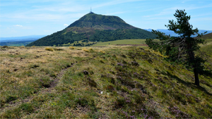 Lutte contre les nuisibles Clermont-Ferrand